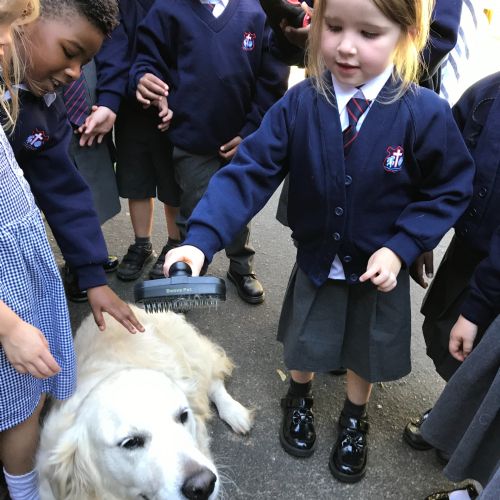 A visit from our school dog